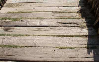 Tipos de contrato relacionados con la vivienda.