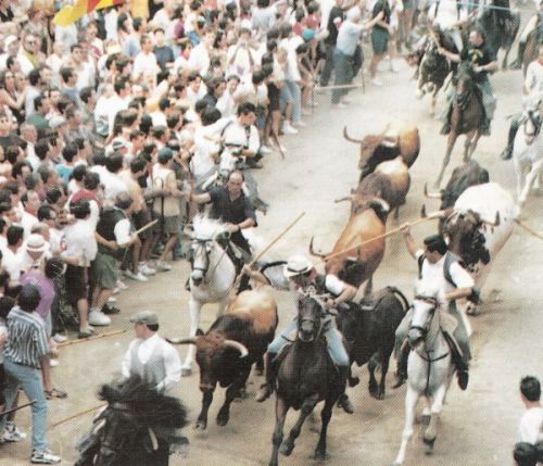 entrada toros segorbe